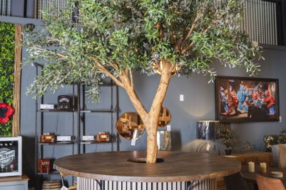 Olive Tree Bar Table - 2.3m Tree